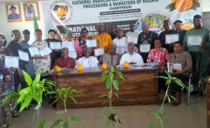 Nigeria’s mango industry can drive food security, creat jobs- FG